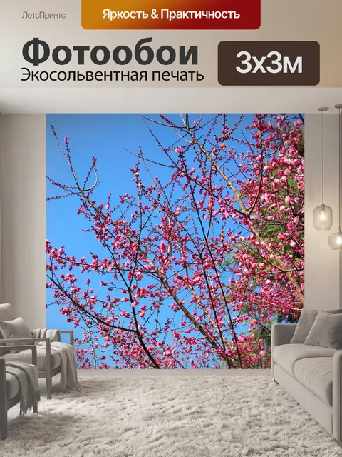 Фотообои Цветы