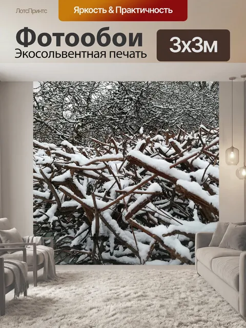 Фотообои Деревья