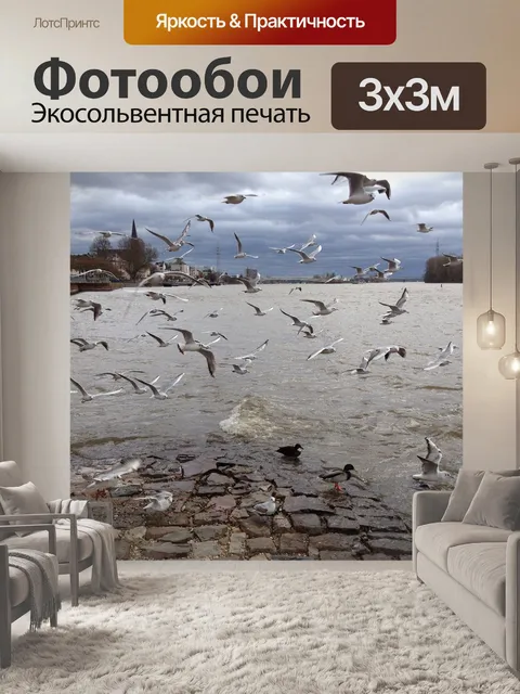 Фотообои Птицы
