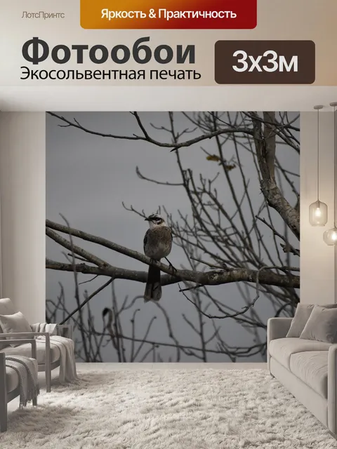Фотообои Птицы