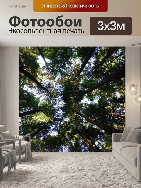 Фотообои Деревья