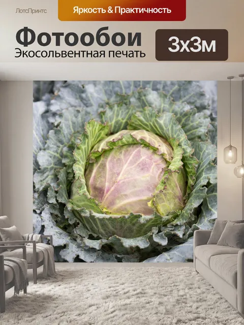 Фотообои Еда