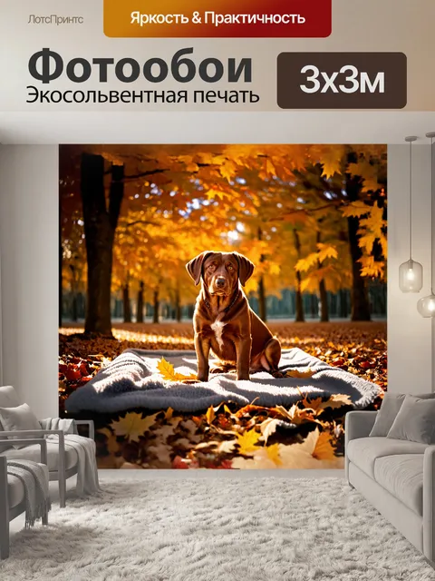 Фотообои коричневый лабрадор, ласково сидящий на уютном одеяле, окружённом яркими осенними листьями, наполняя сцену…