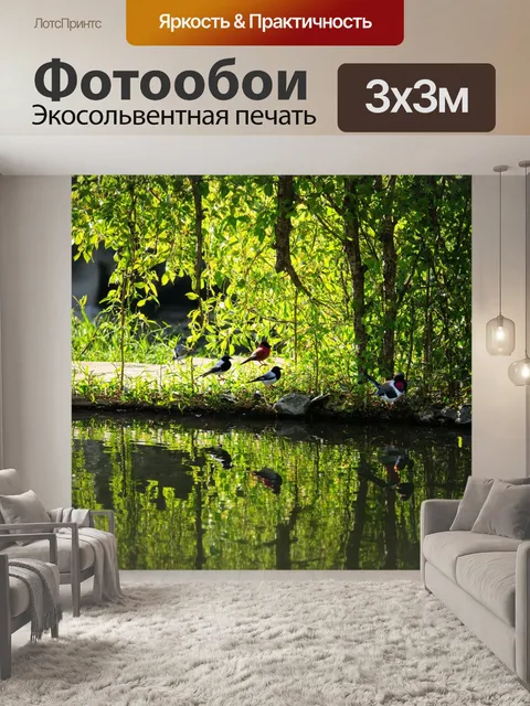 Фотообои утро: тихий уголок в саду с прудом, где зеленая растительность отражается в прозрачной воде