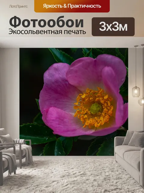 Фотообои Розы