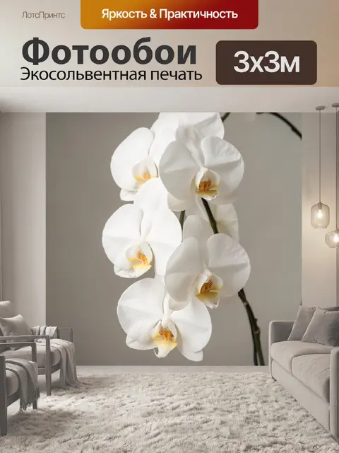 Фотообои Белые орхидеи крупным планом
