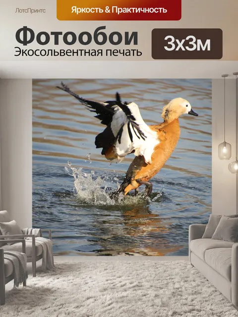 Фотообои Огарь