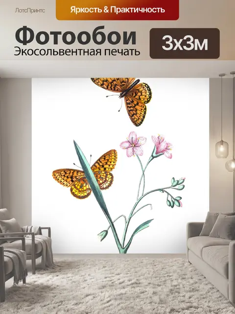 Фотообои Butterfly Vintage Картина Печать
