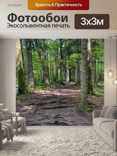 Фотообои Лесная тропа