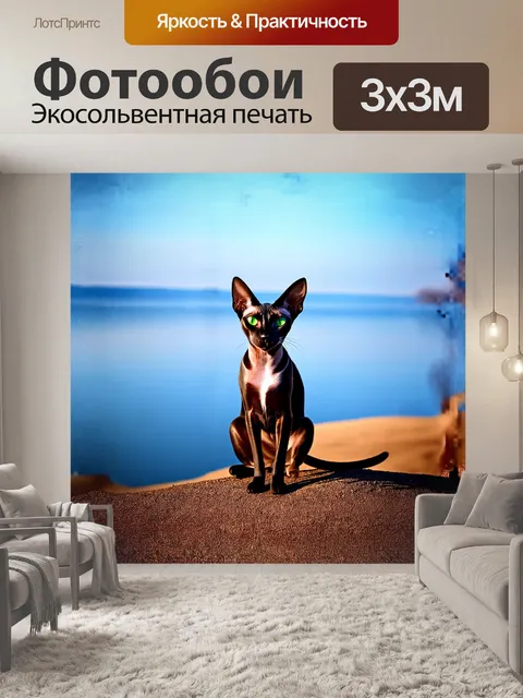 Фотообои ориентальная короткошерстная кошка с яркими зелеными глазами, сидящая на вершине тихого холма