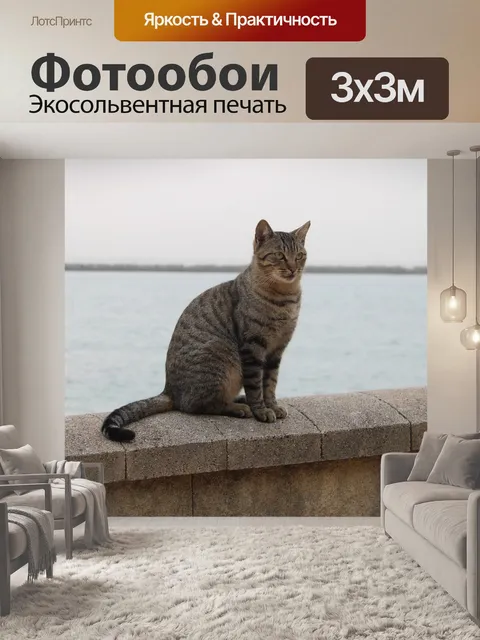 Фотообои Кошка