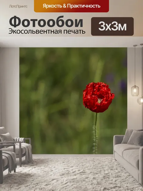 Фотообои Мак