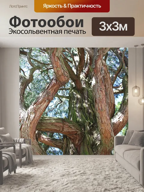 Фотообои Дерево