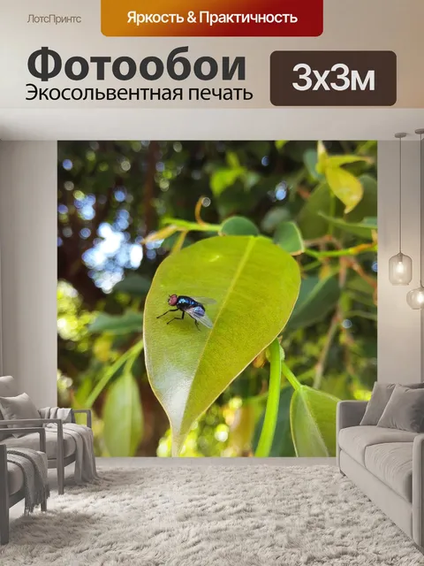 Фотообои Летать