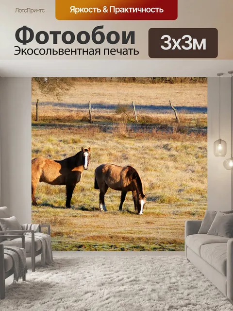 Фотообои Лошади