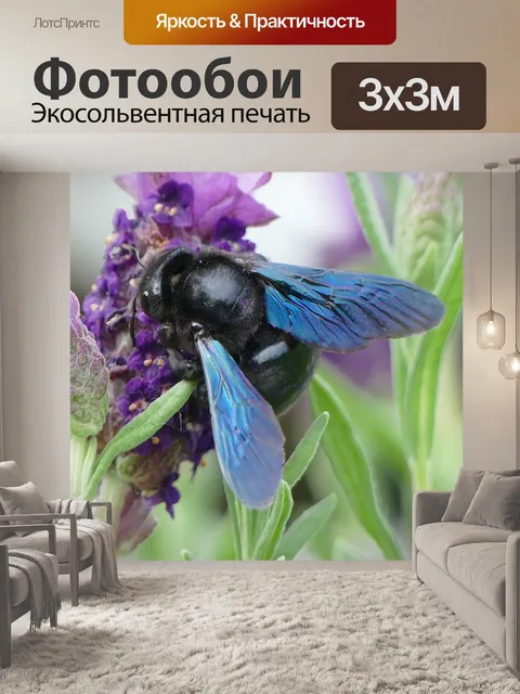Фотообои Лаванда