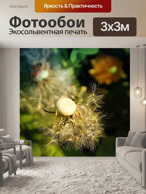 Фотообои Одуванчик