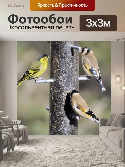 Фотообои Певчие птицы