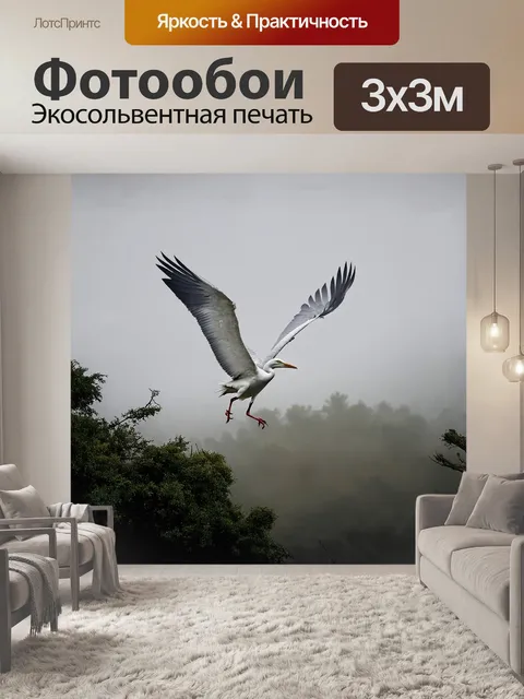 Фотообои в утреннем тумане австралийского леса исполинский белоног взлетает с вершины дерева