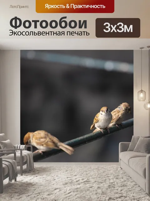 Фотообои Птица