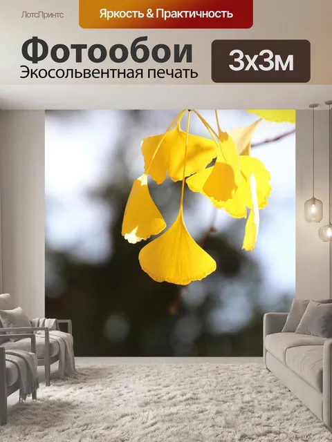 Фотообои Гинкго