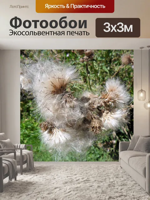 Фотообои Одуванчик 2