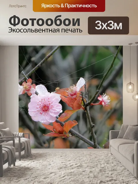 Фотообои Цветок
