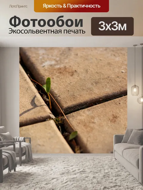Фотообои Мощение