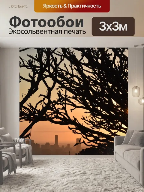 Фотообои Силуэт