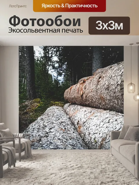 Фотообои Лес