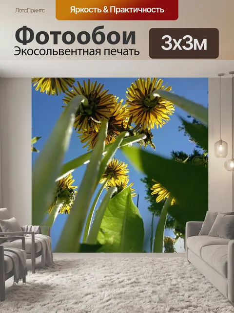 Фотообои Одуванчики
