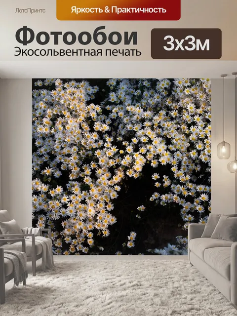 Фотообои Маргаритка
