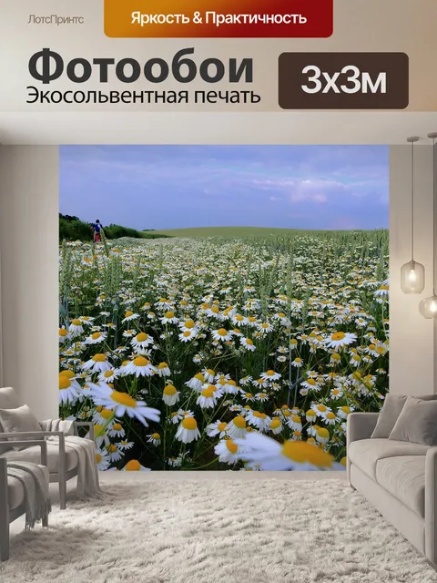 Фотообои Ромашки