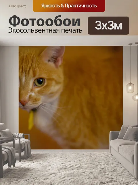 Фотообои Животное