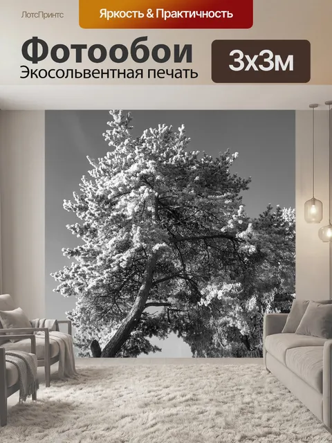 Фотообои Челюсть