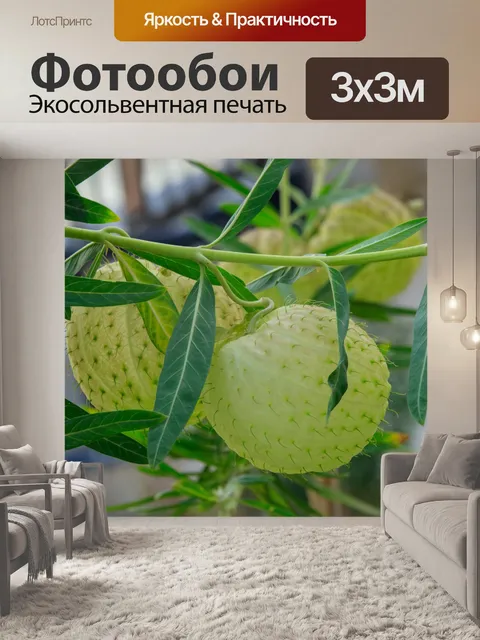Фотообои Природа Крита