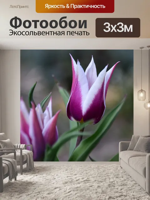 Фотообои Цветы