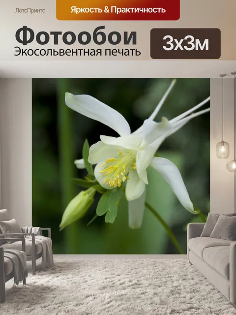 Фотообои Городской сад