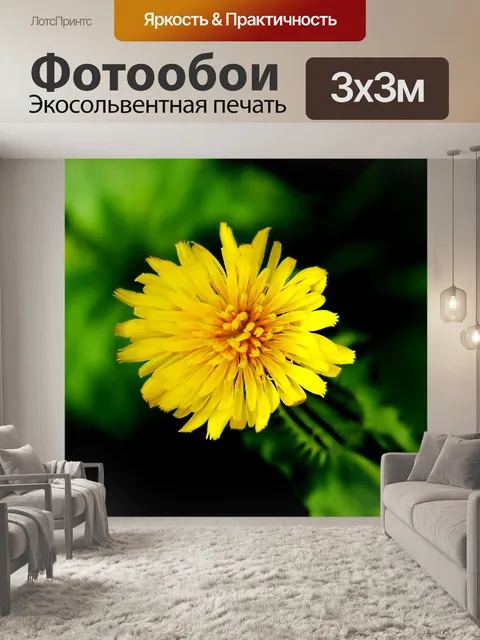 Фотообои Цветы