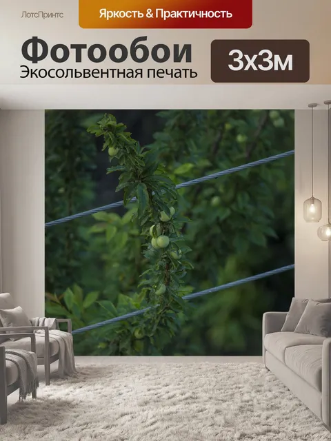 Фотообои Зеленый