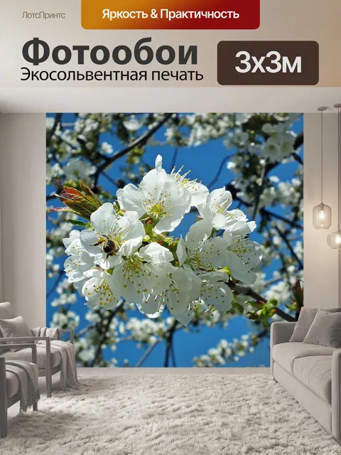 Фотообои Цветы