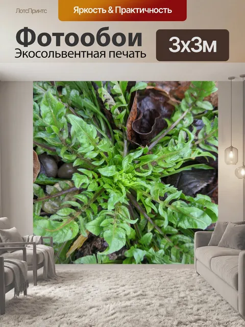 Фотообои Штукатурки