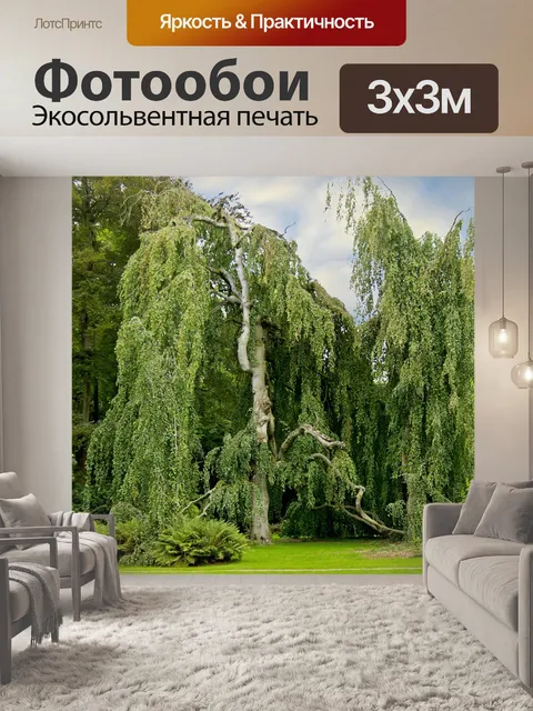 Фотообои Дерево