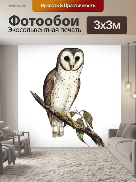 Фотообои Сова Винтаж клипарт наклейки