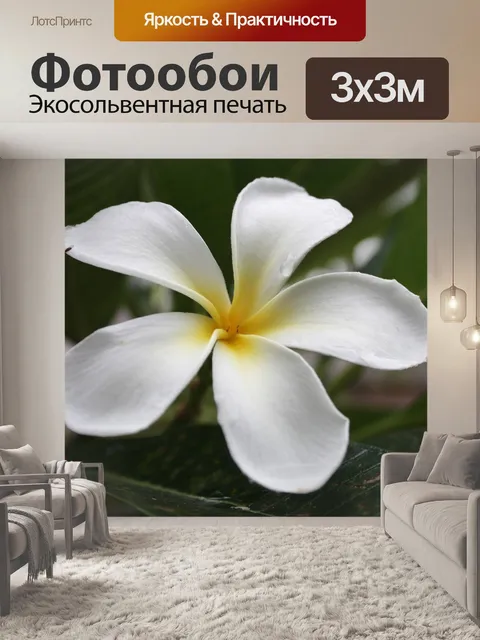 Фотообои Франжипани