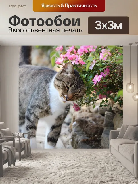 Фотообои Кошка