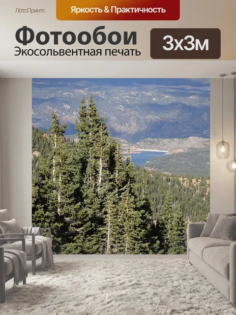 Фотообои Лес