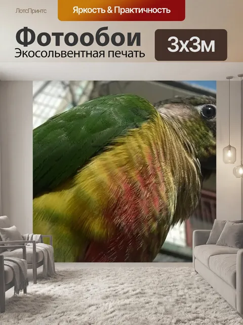Фотообои Птица