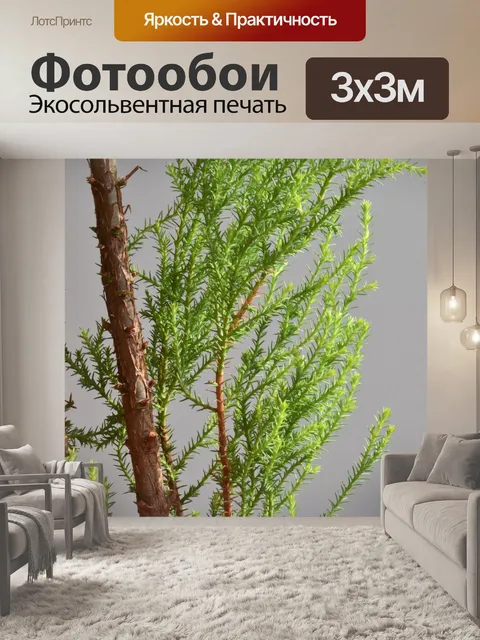 Фотообои Растение