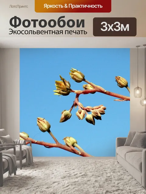 Фотообои Весна